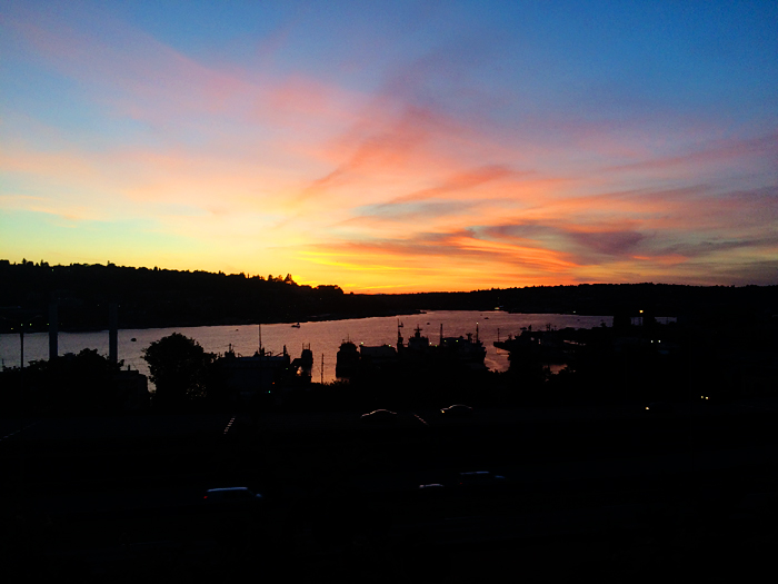 Finally Steve came to see me in Seattle where we saw this amazing sunset over Lake Union walking home from Capitol Hill.