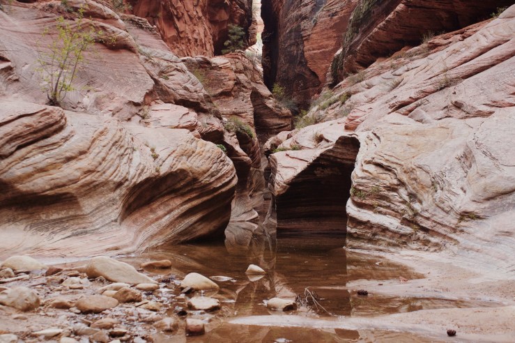 Processed with VSCO with m5 preset