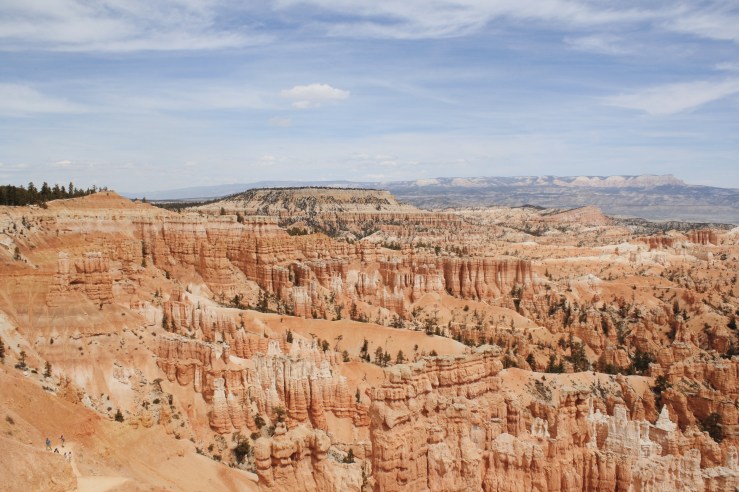 Processed with VSCO with m5 preset