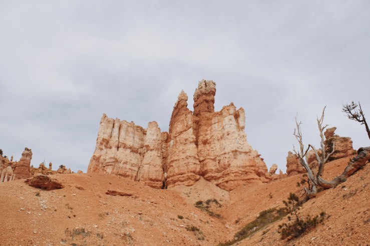 Processed with VSCO with m5 preset