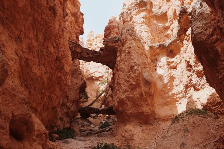 Processed with VSCO with m5 preset