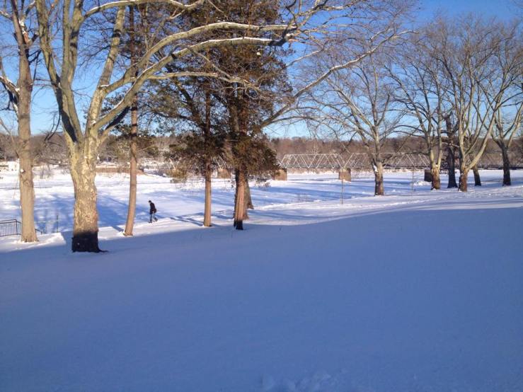 10169443_10153147226960960_929627831570970594_n