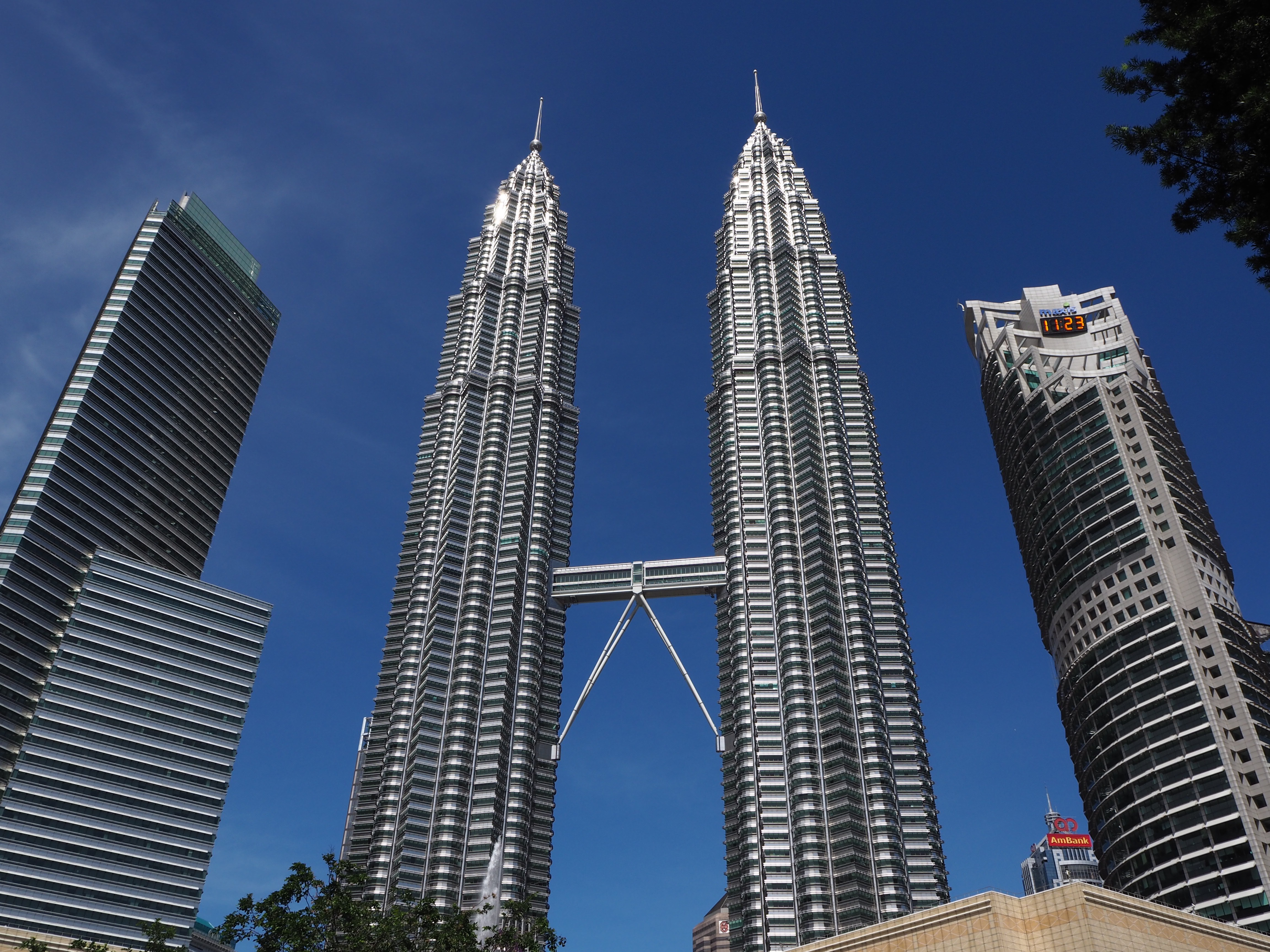 OLYMPUS DIGITAL CAMERA