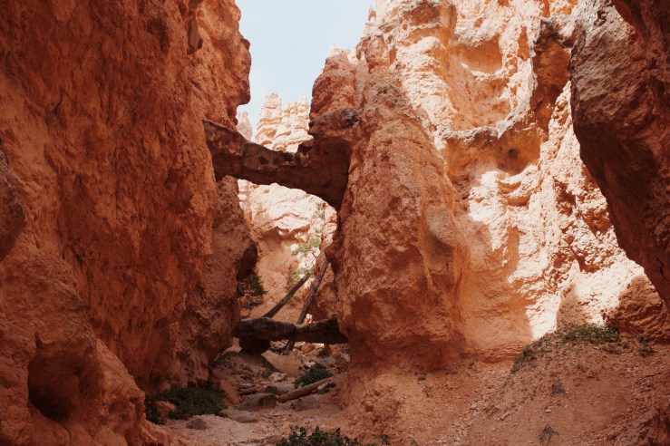 Processed with VSCO with m5 preset