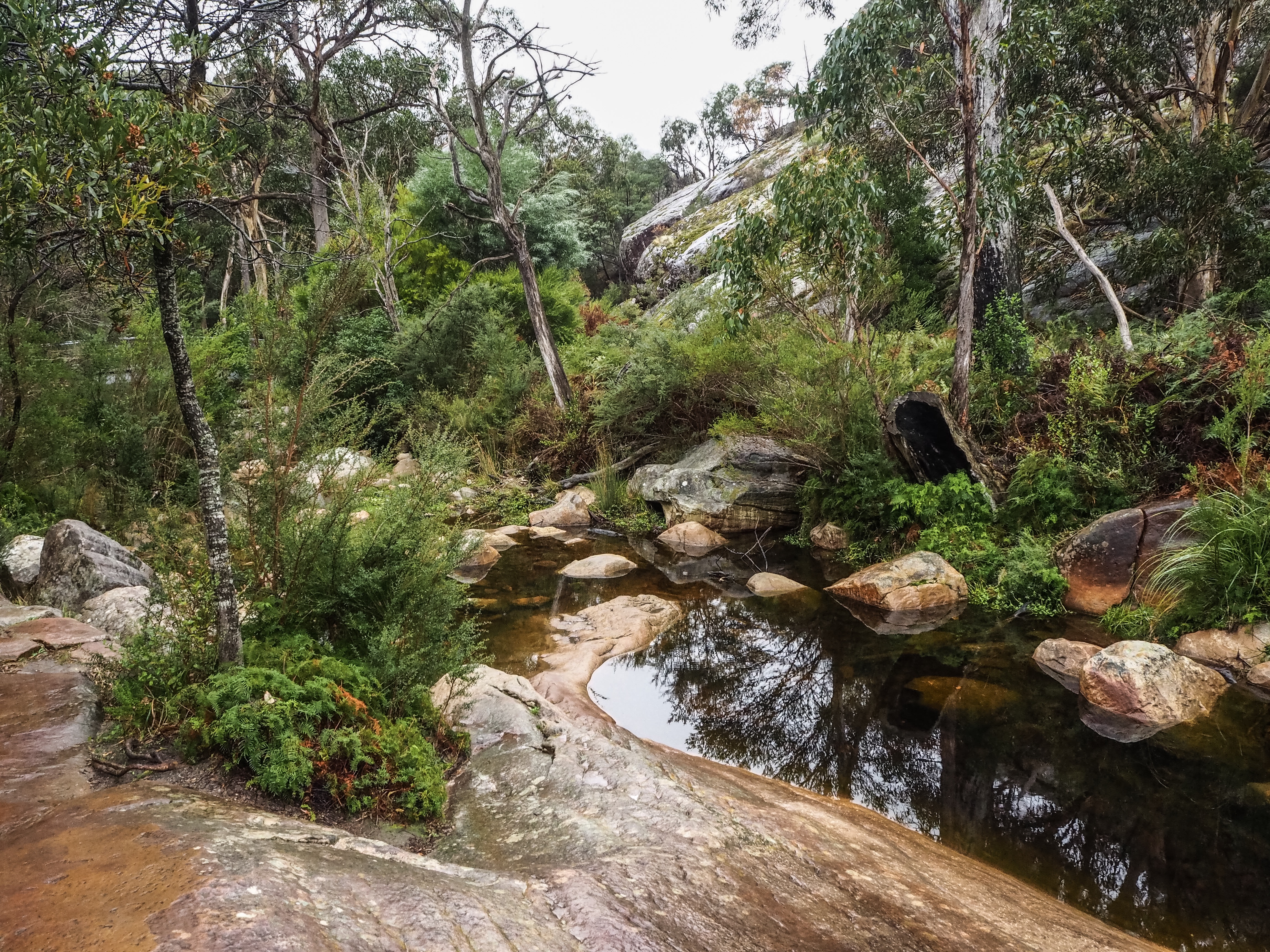 Photo 25-05-2019, 11 50 04