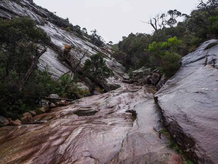 Photo 25-05-2019, 11 50 10