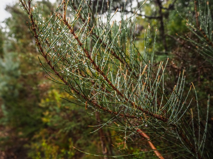 Photo 25-05-2019, 13 23 04