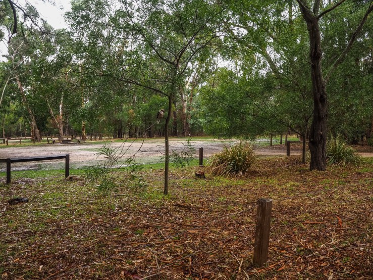 Photo 26-05-2019, 14 43 59