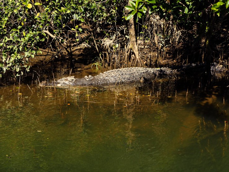 Photo 29-08-2019, 10 03 12.jpg