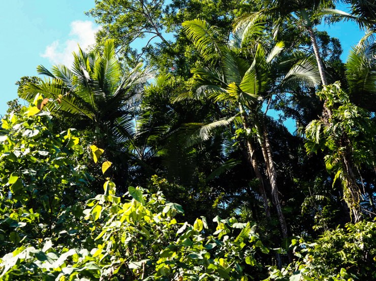 Photo 29-08-2019, 10 26 54.jpg