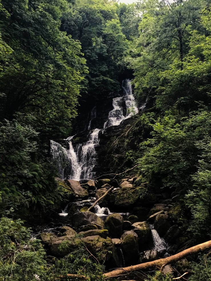 Photo 16-07-2020, 12 51 01