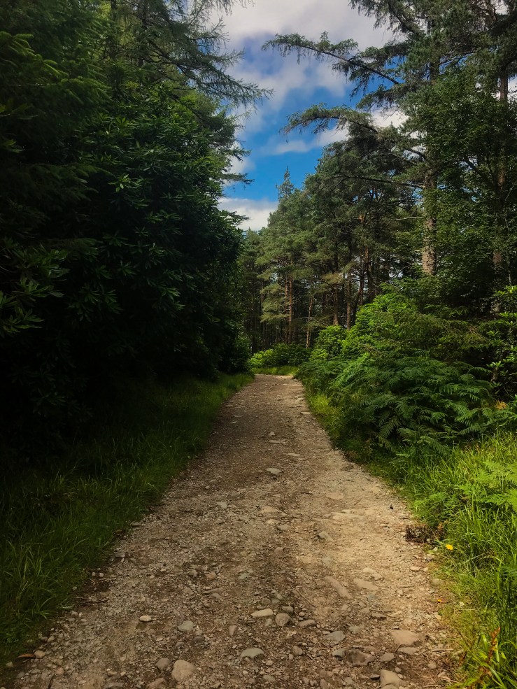 Photo 16-07-2020, 13 03 45