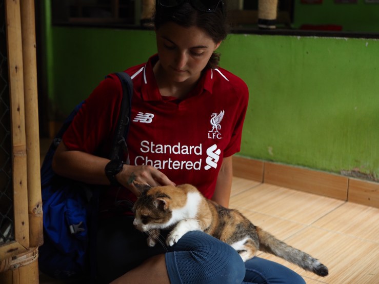 Villa Kitty Foundation